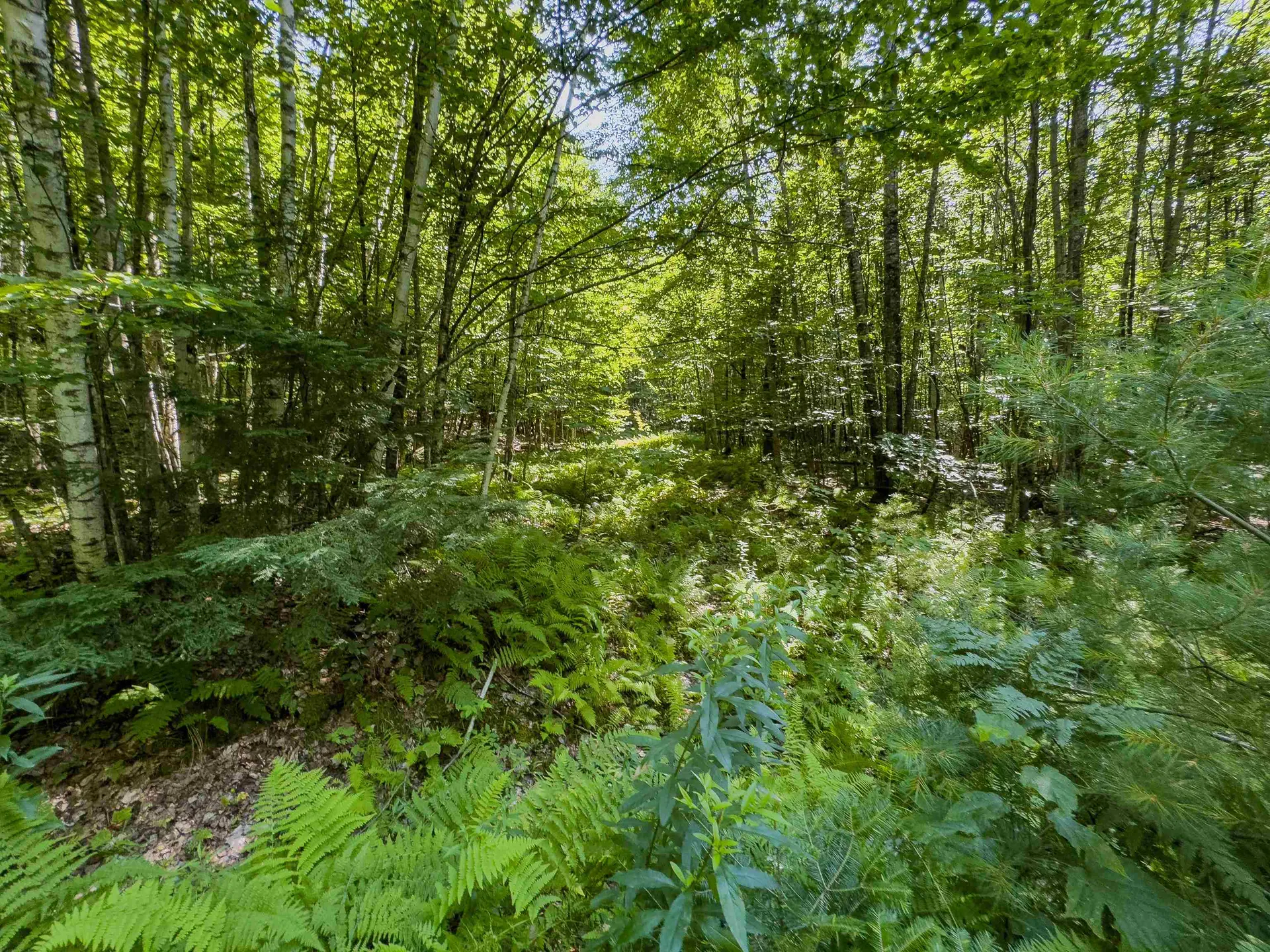 00 Brushwood Road Haverhill NH 03765