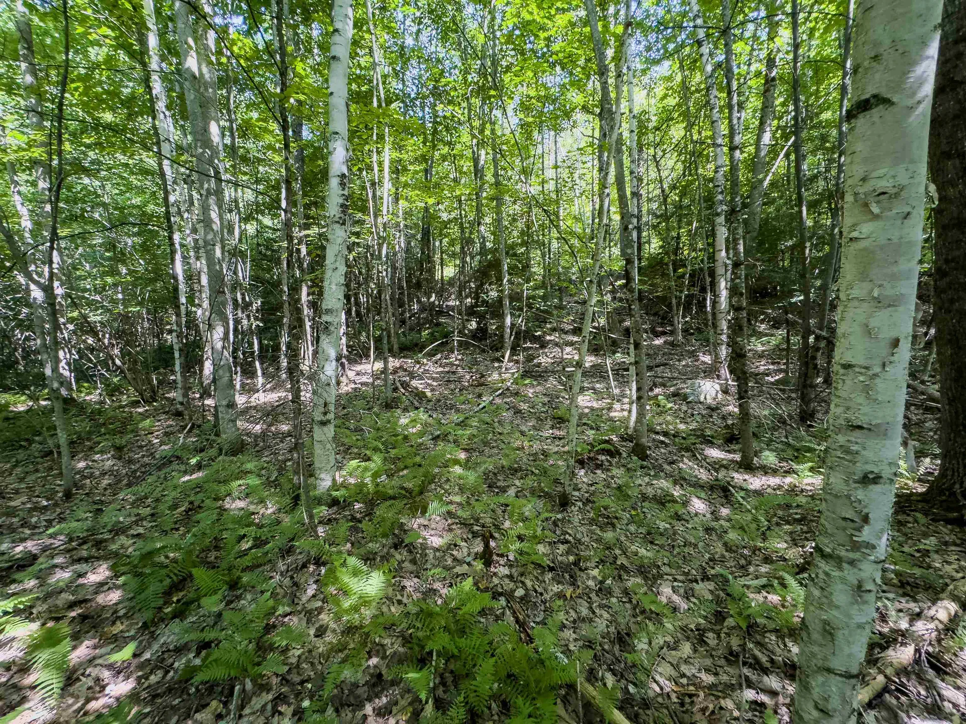 00 Brushwood Road Haverhill NH 03765