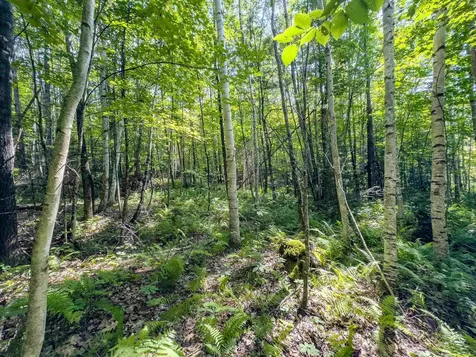 00 Brushwood Road Haverhill NH 03765