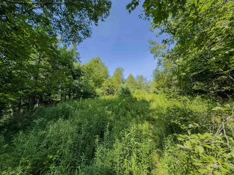 00 Brushwood Road Haverhill NH 03765