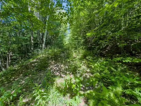 00 Brushwood Road Haverhill NH 03765