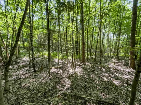 00 Brushwood Road Haverhill NH 03765