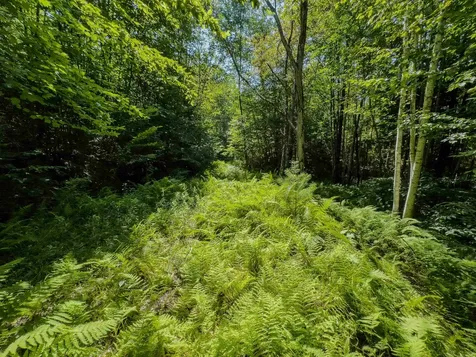 00 Brushwood Road Haverhill NH 03765