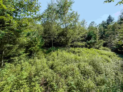 00 Brushwood Road Haverhill NH 03765