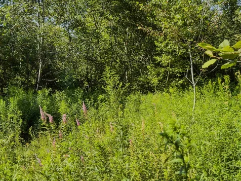 00 Brushwood Road Haverhill NH 03765