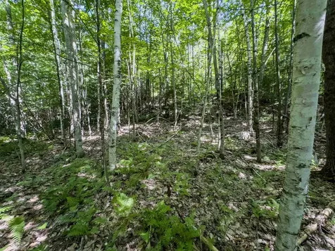 00 Brushwood Road Haverhill NH 03765