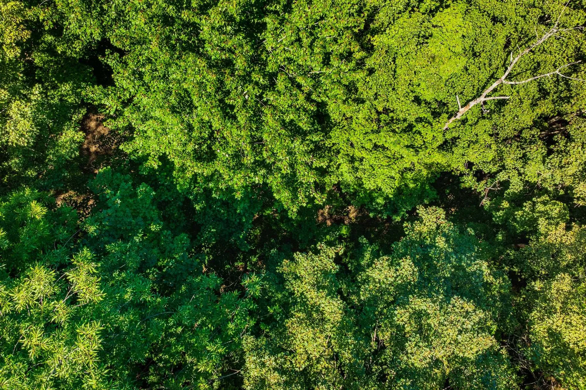 215 Vt Route 30 Dorset VT 05251