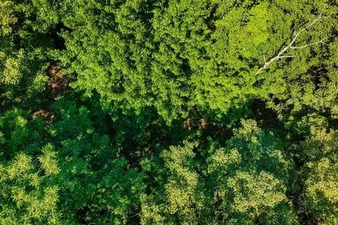 215 Vt Route 30 Dorset VT 05251