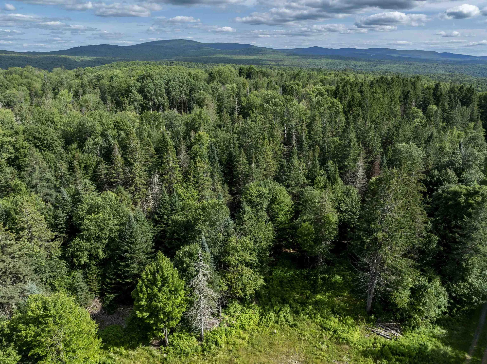 1148 Highlander Street Greensboro VT 05841