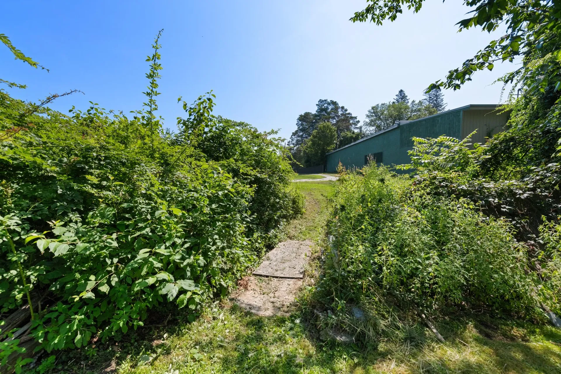 50 Lake Street Bristol NH 03222