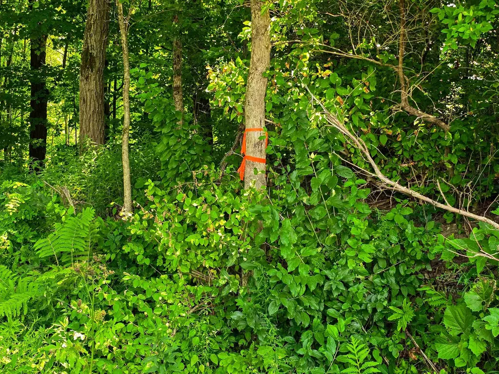 290 Ferson Road Leicester VT 05733