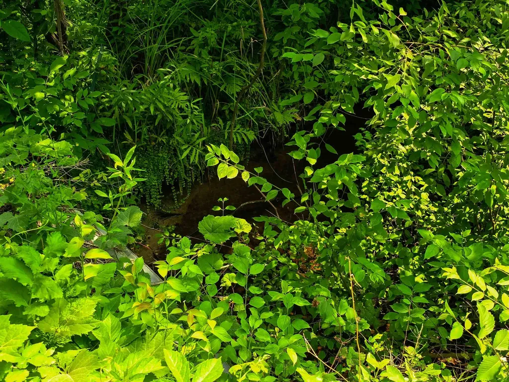 290 Ferson Road Leicester VT 05733