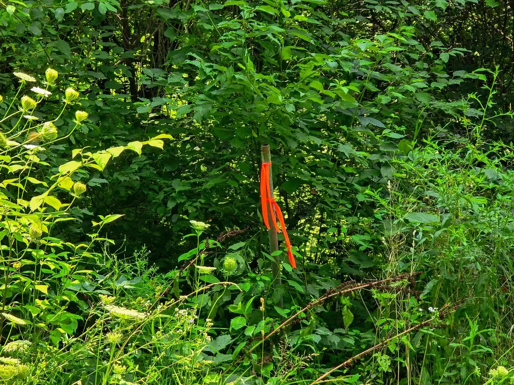 290 Ferson Road Leicester VT 05733