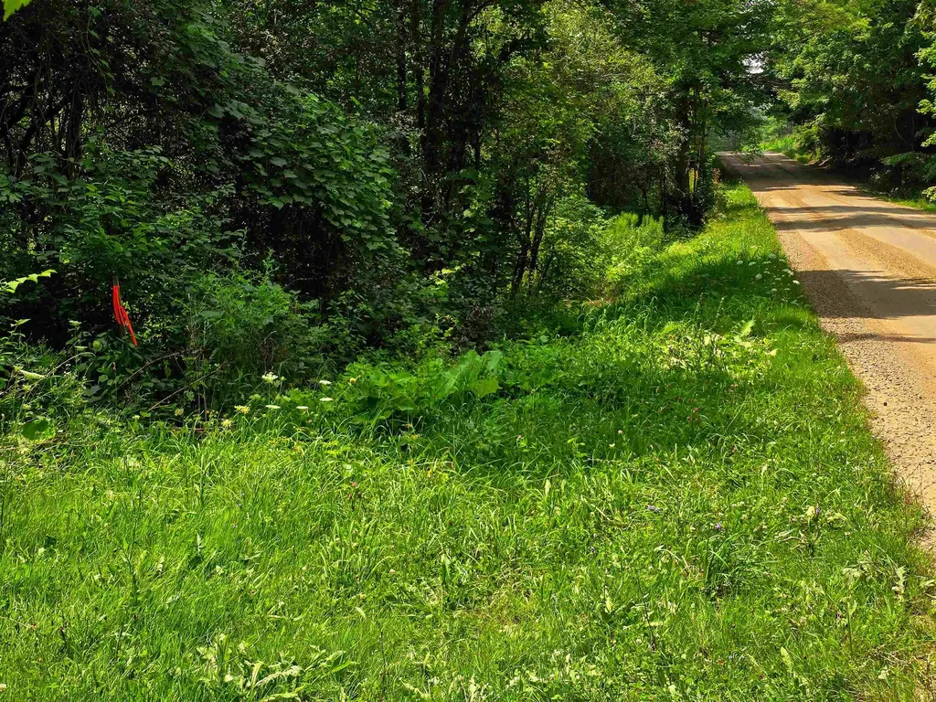 290 Ferson Road Leicester VT 05733