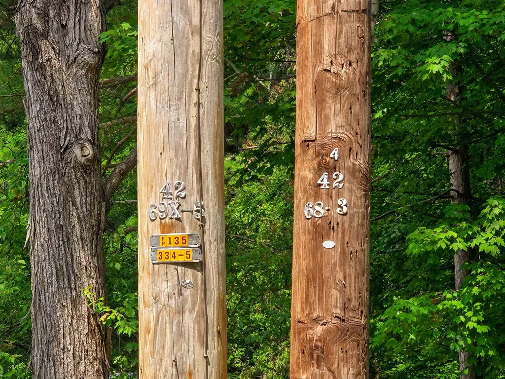 290 Ferson Road Leicester VT 05733