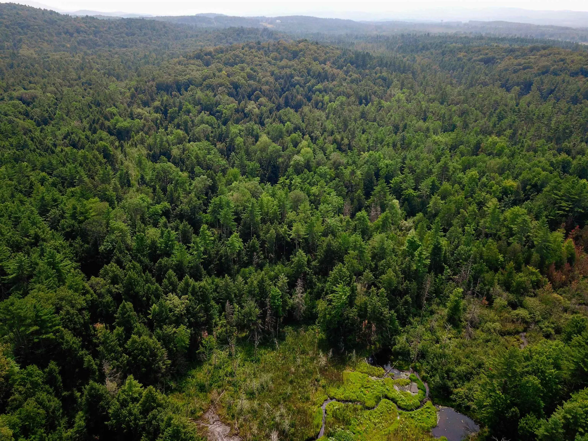 290 Ferson Road Leicester VT 05733