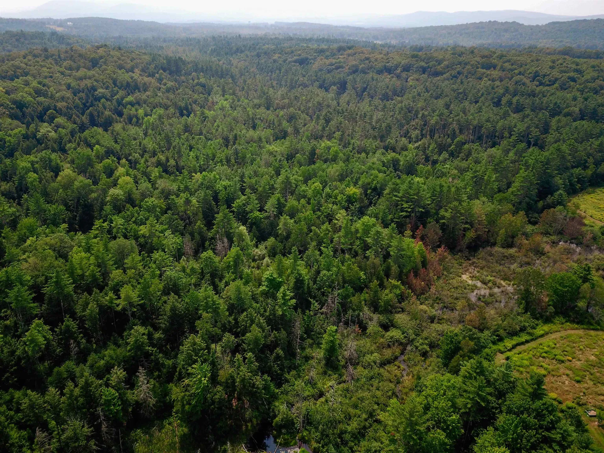 290 Ferson Road Leicester VT 05733