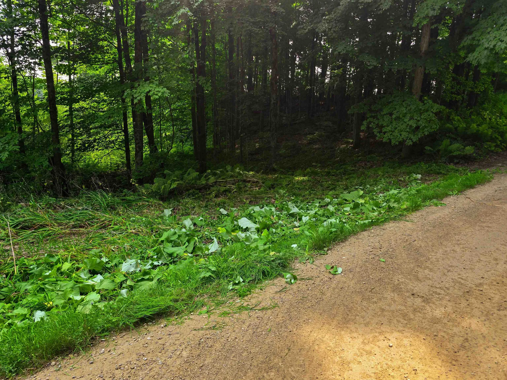 290 Ferson Road Leicester VT 05733