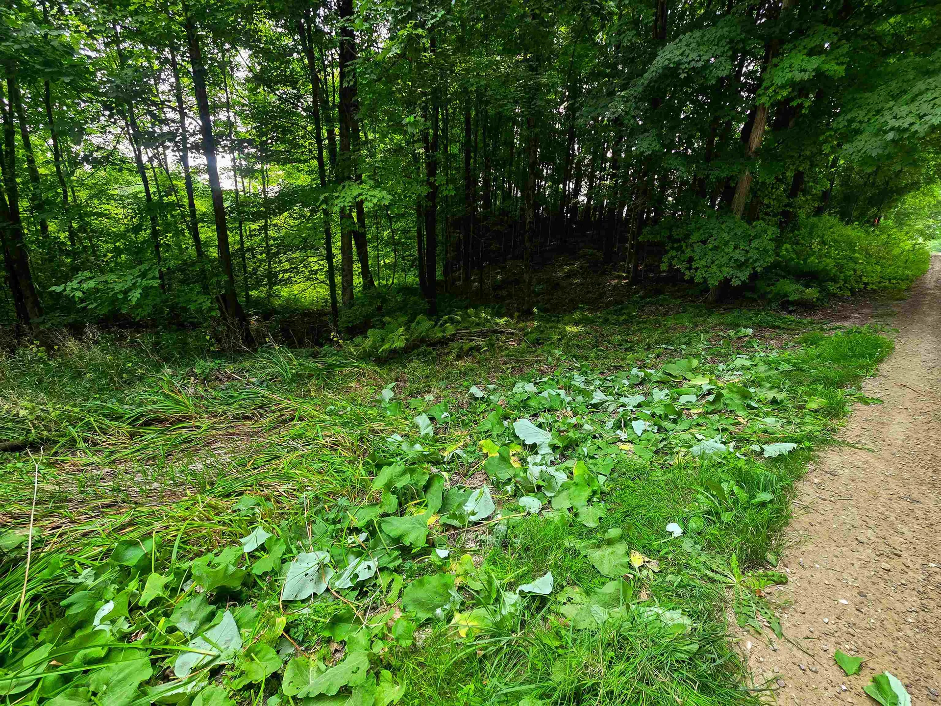 290 Ferson Road Leicester VT 05733