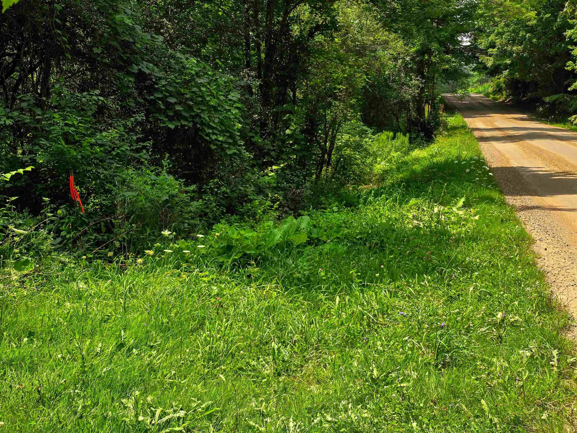 290 Ferson Road Leicester VT 05733