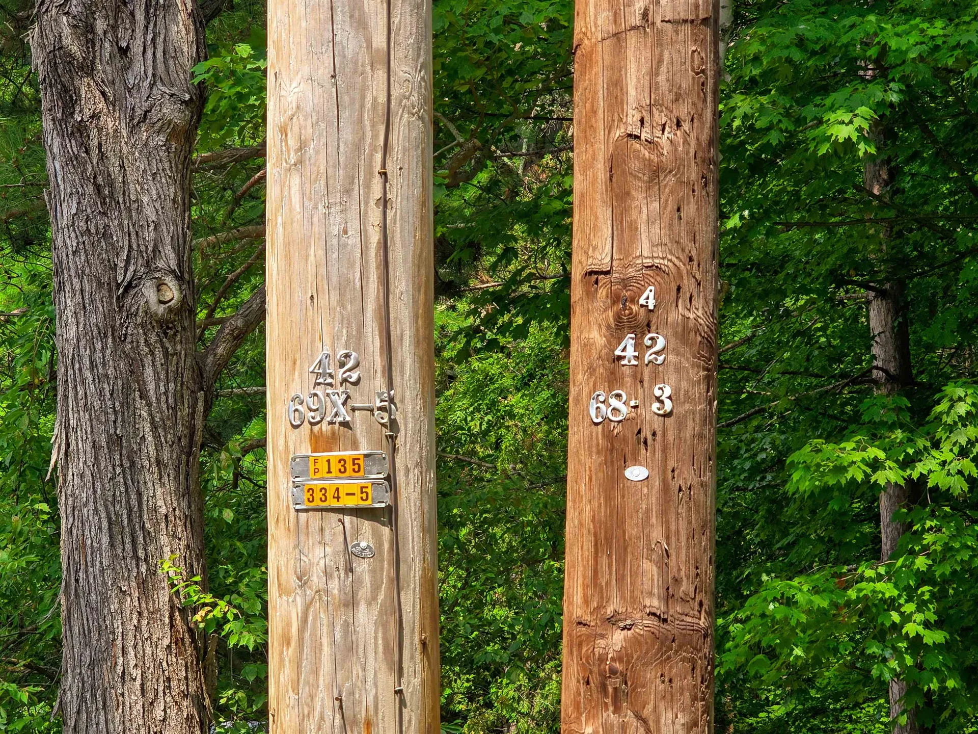 290 Ferson Road Leicester VT 05733