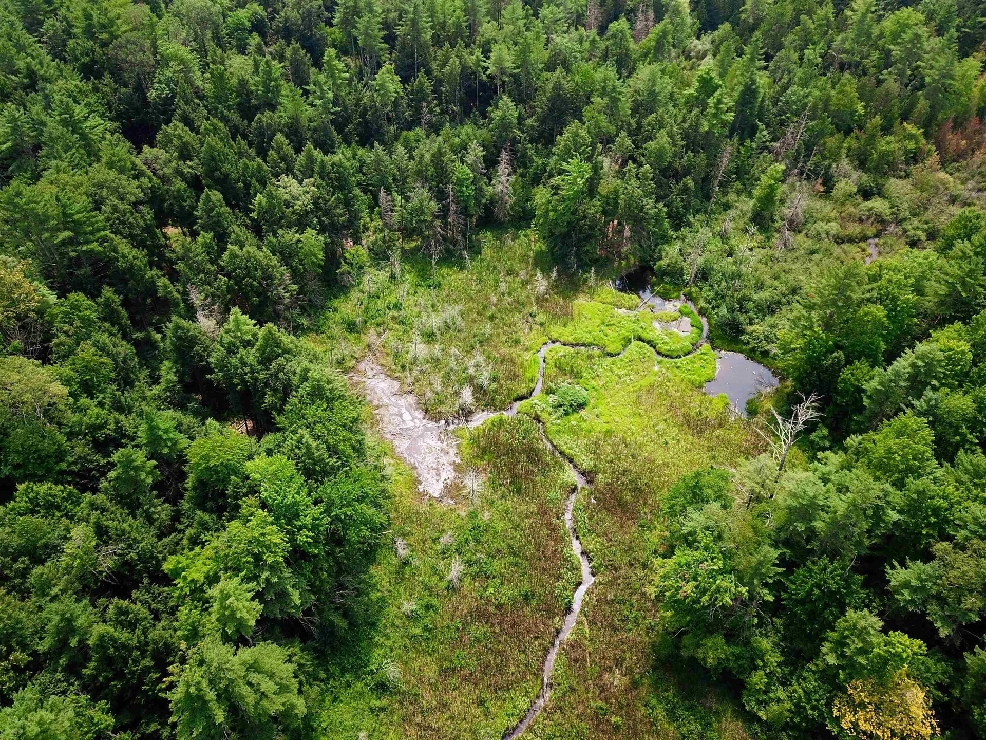 290 Ferson Road Leicester VT 05733