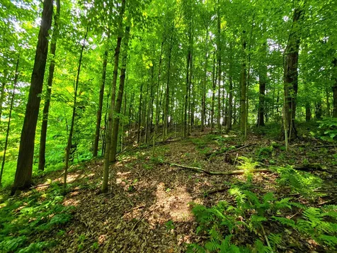 290 Ferson Road Leicester VT 05733