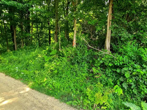 290 Ferson Road Leicester VT 05733