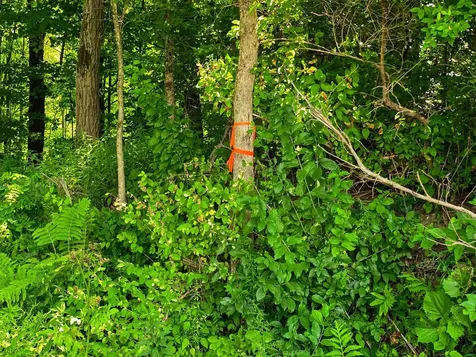 290 Ferson Road Leicester VT 05733