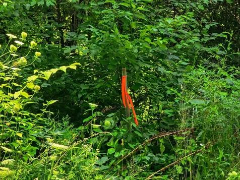 290 Ferson Road Leicester VT 05733