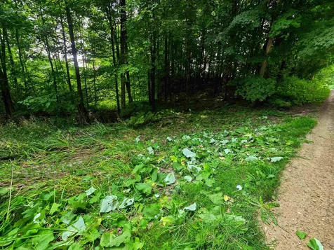 290 Ferson Road Leicester VT 05733