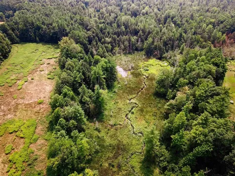 290 Ferson Road Leicester VT 05733