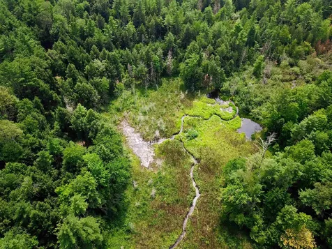 290 Ferson Road Leicester VT 05733