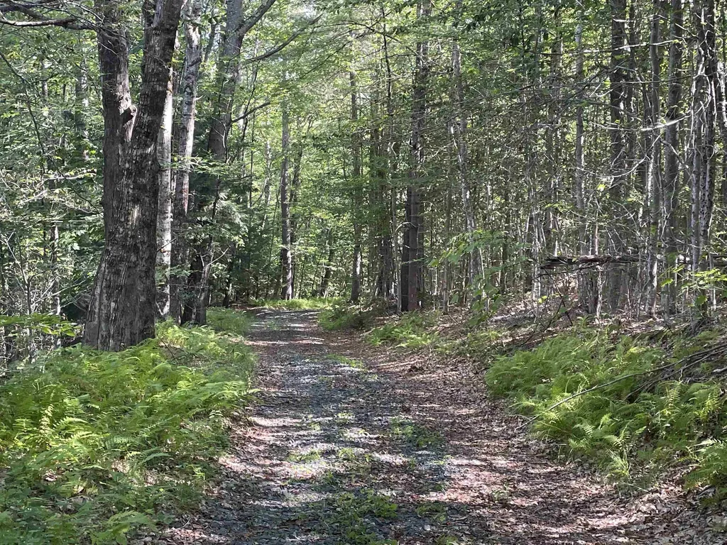 491 Whitneyville Road Halifax VT 05358