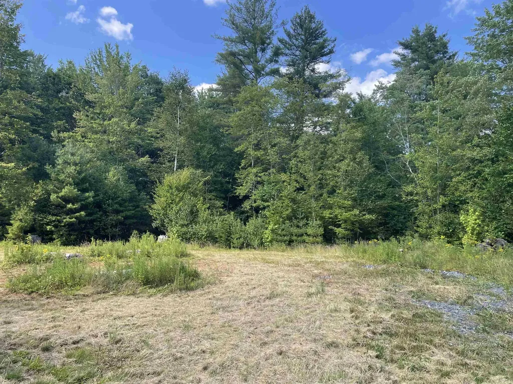 491 Whitneyville Road Halifax VT 05358