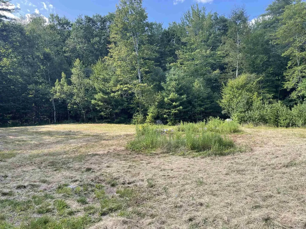 491 Whitneyville Road Halifax VT 05358