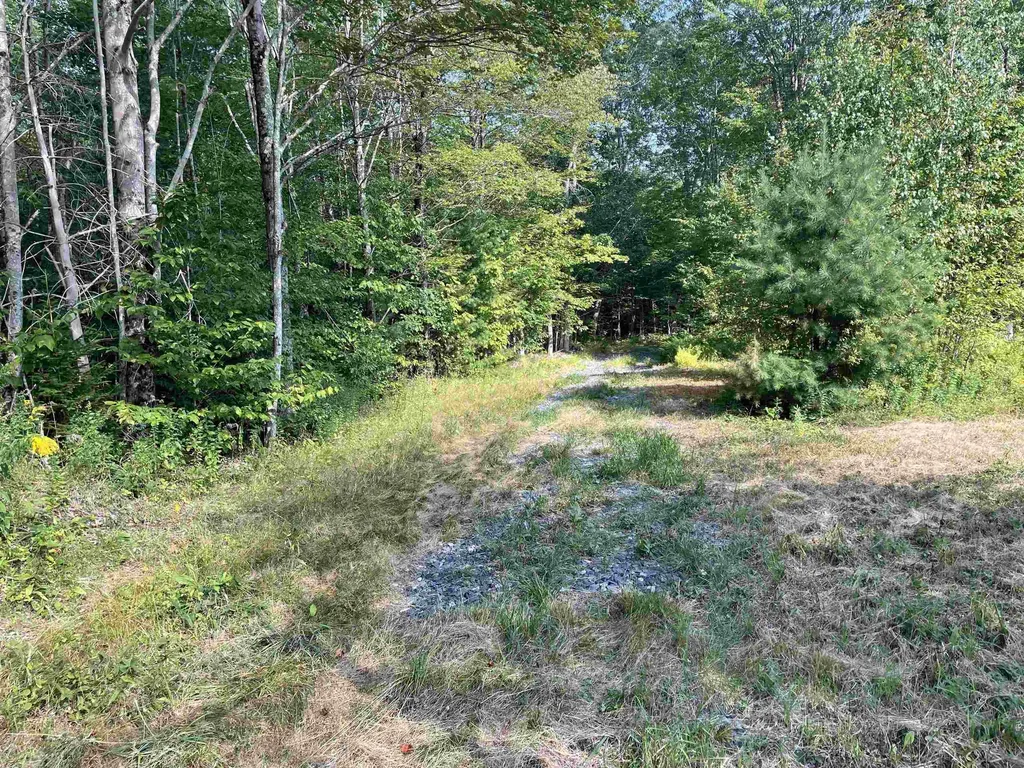 491 Whitneyville Road Halifax VT 05358