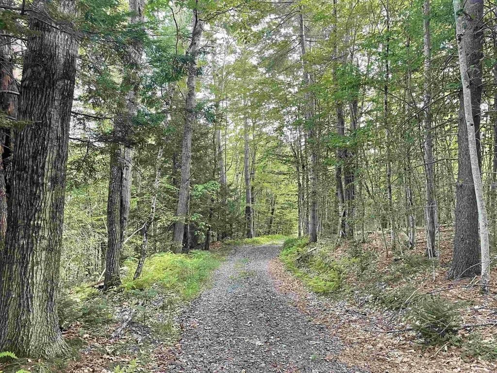 491 Whitneyville Road Halifax VT 05358