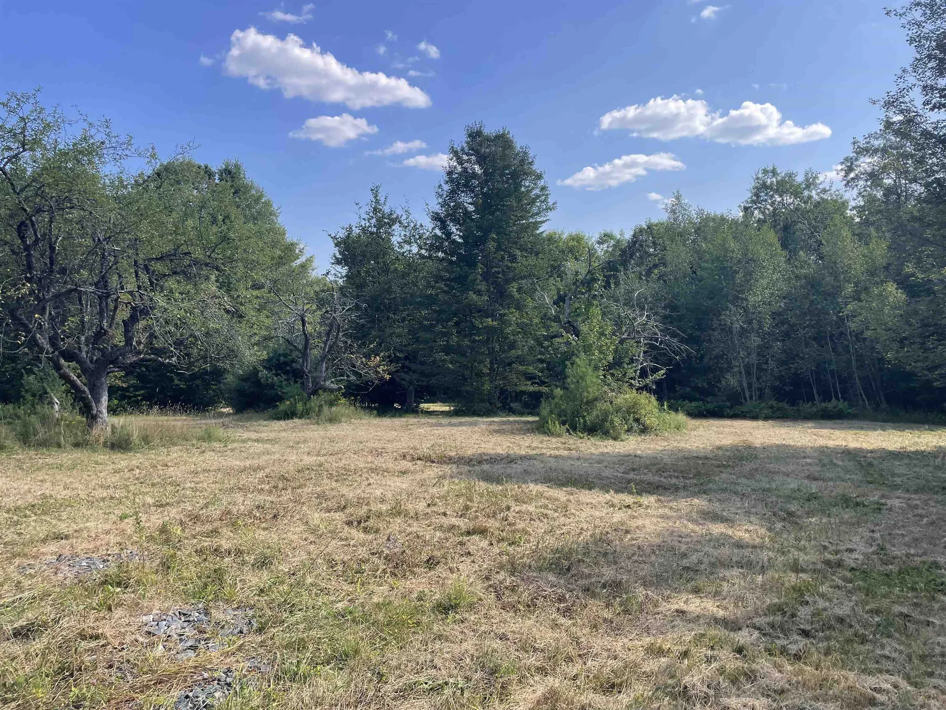 491 Whitneyville Road Halifax VT 05358