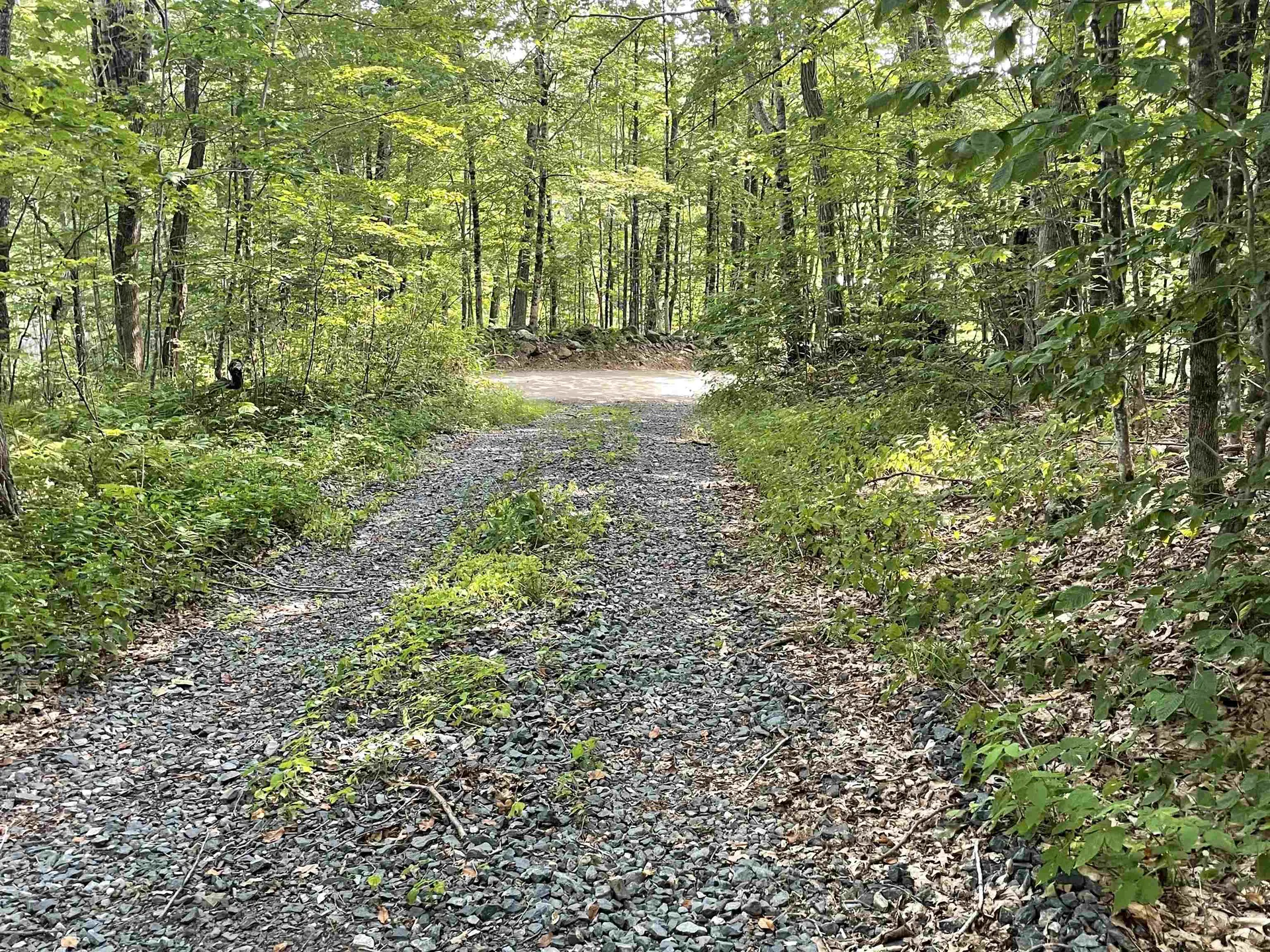 491 Whitneyville Road Halifax VT 05358