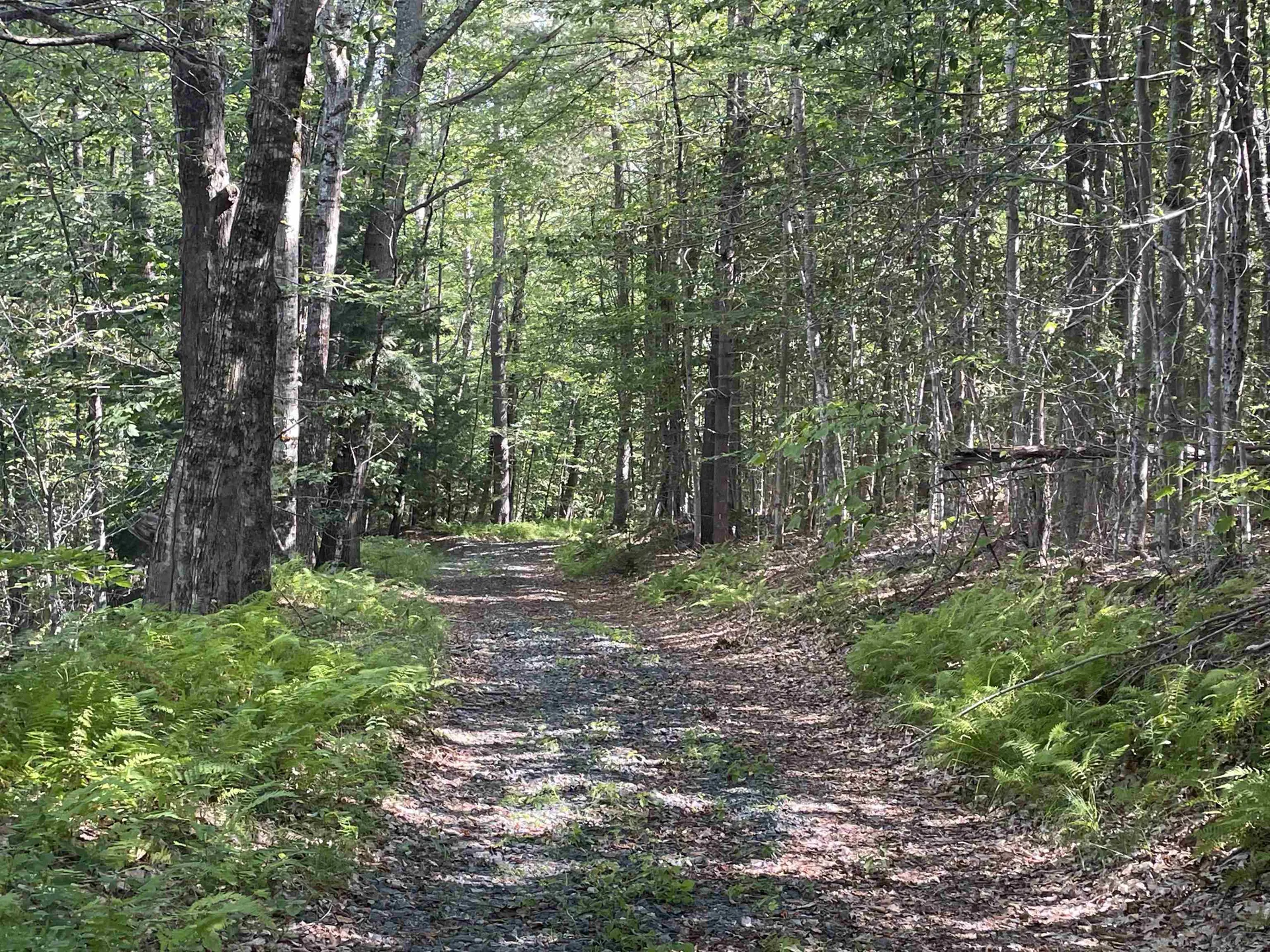 491 Whitneyville Road Halifax VT 05358