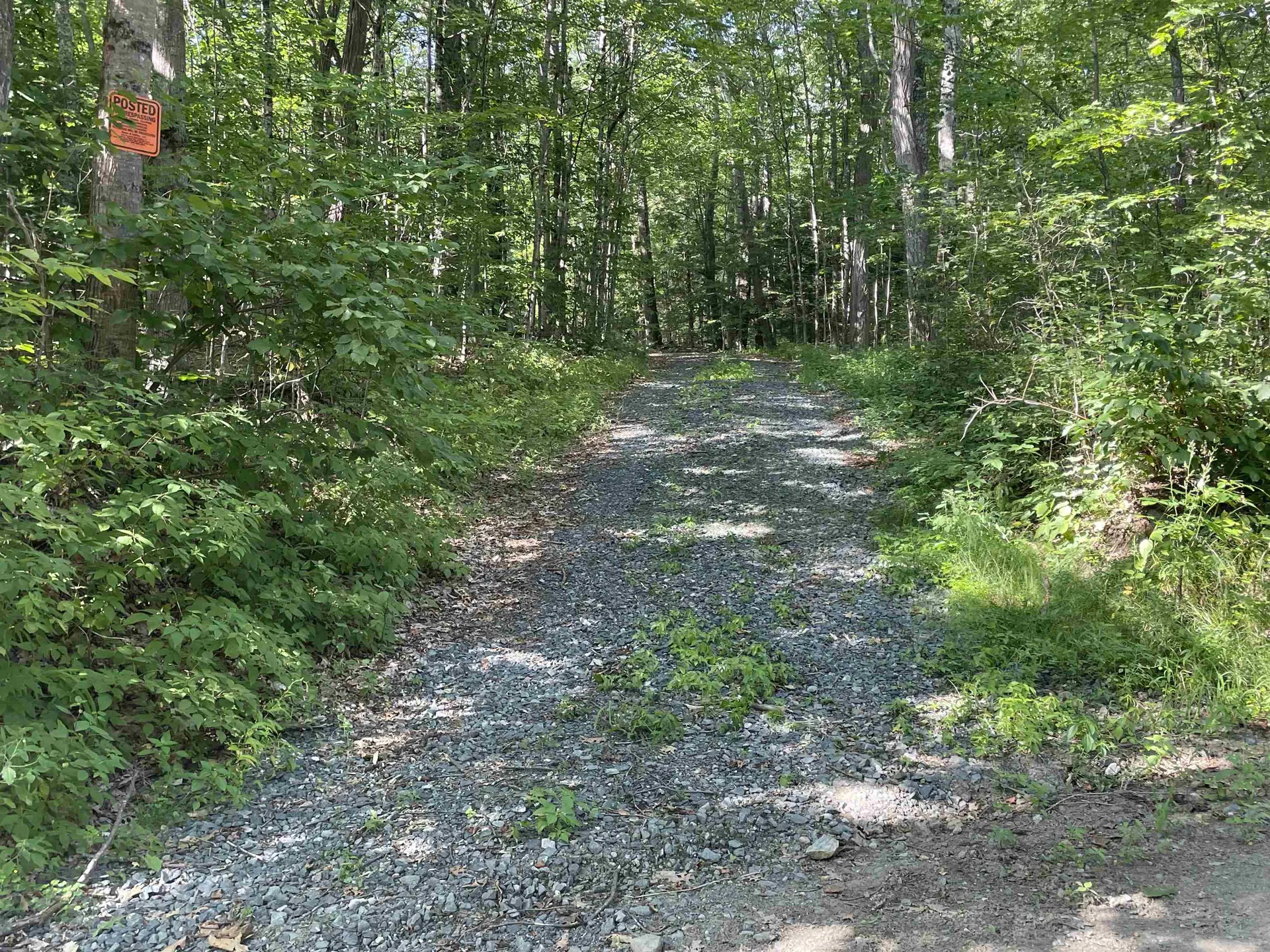 491 Whitneyville Road Halifax VT 05358