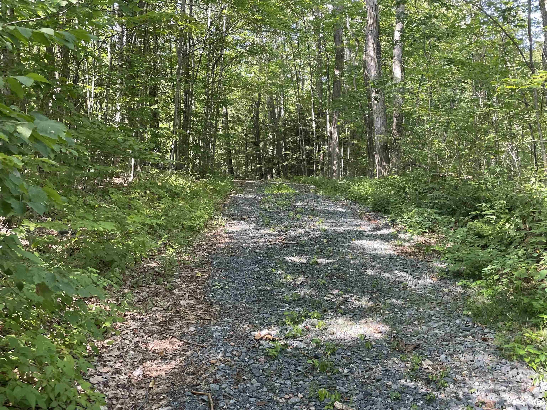 491 Whitneyville Road Halifax VT 05358