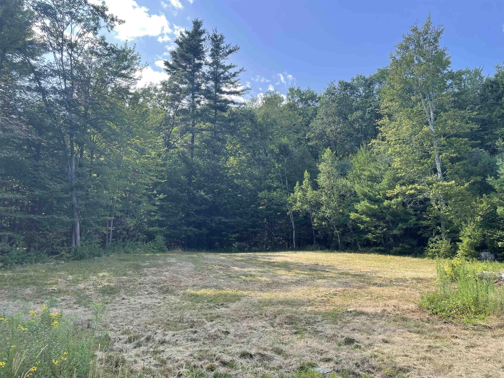 491 Whitneyville Road Halifax VT 05358