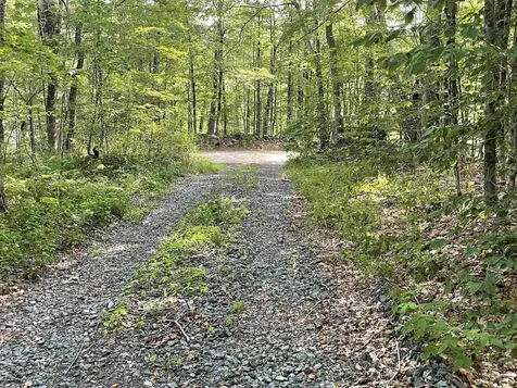 491 Whitneyville Road Halifax VT 05358