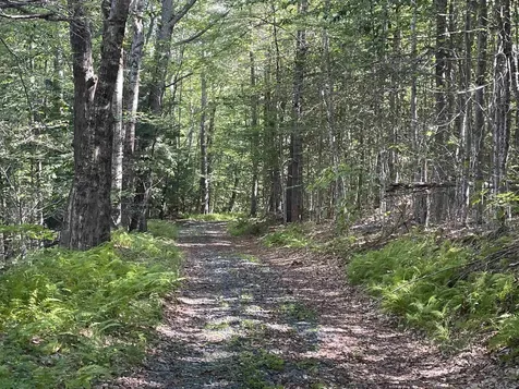 491 Whitneyville Road Halifax VT 05358