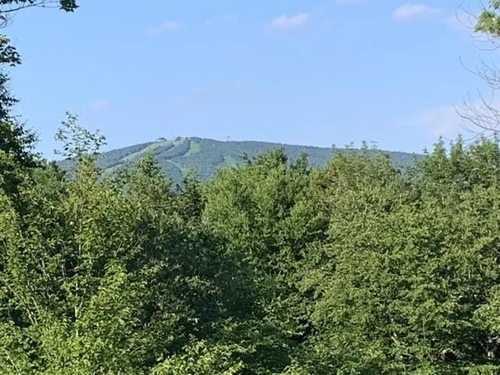 16 Nutmeg Lane Dover VT 05356