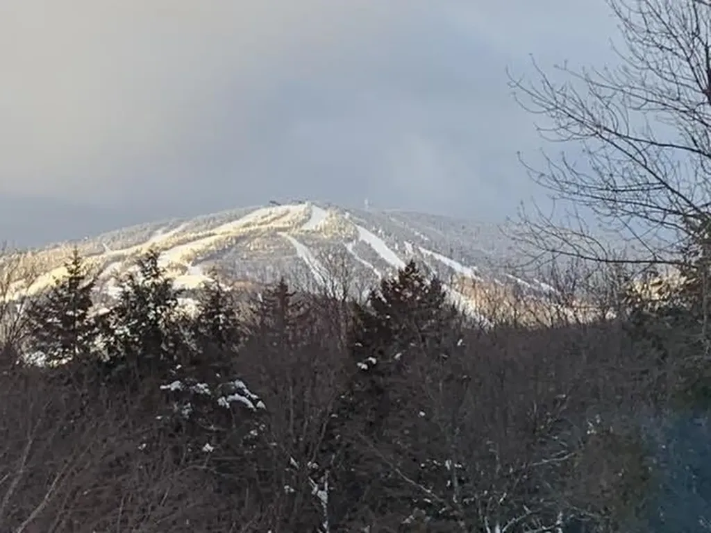 16 Nutmeg Lane Dover VT 05356