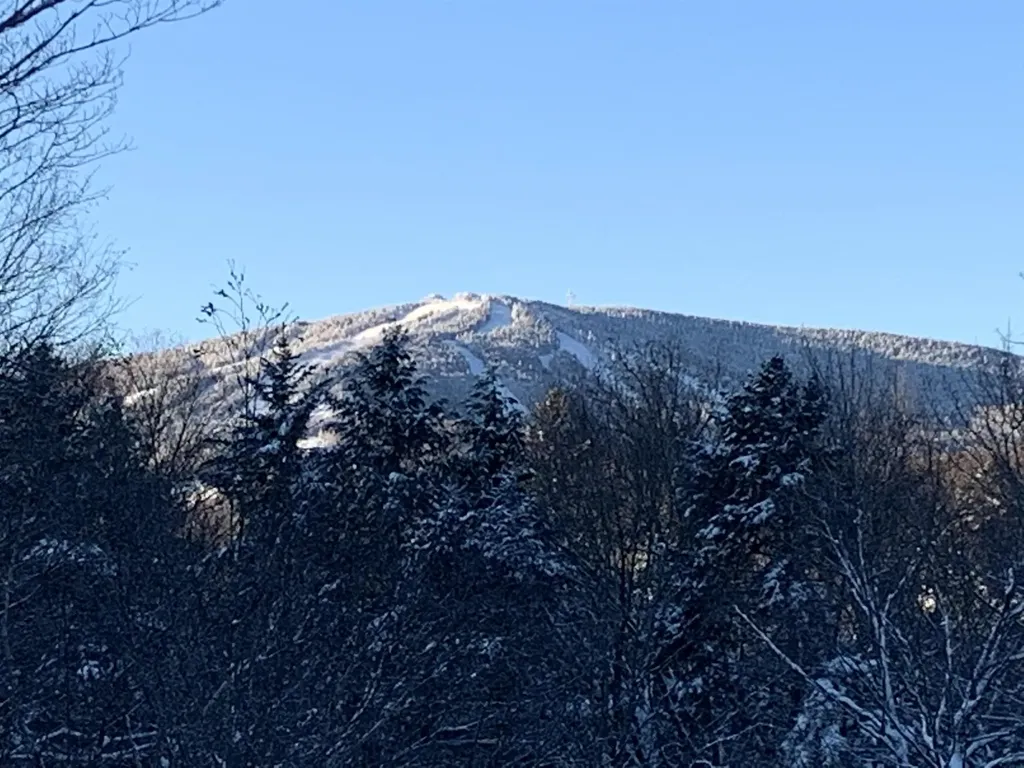 16 Nutmeg Lane Dover VT 05356