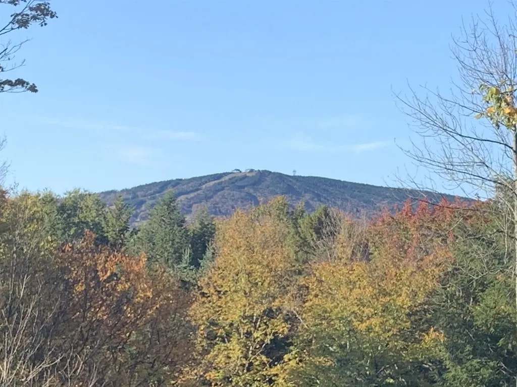 16 Nutmeg Lane Dover VT 05356